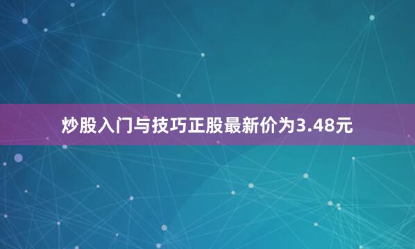 炒股入门与技巧正股最新价为3.48元