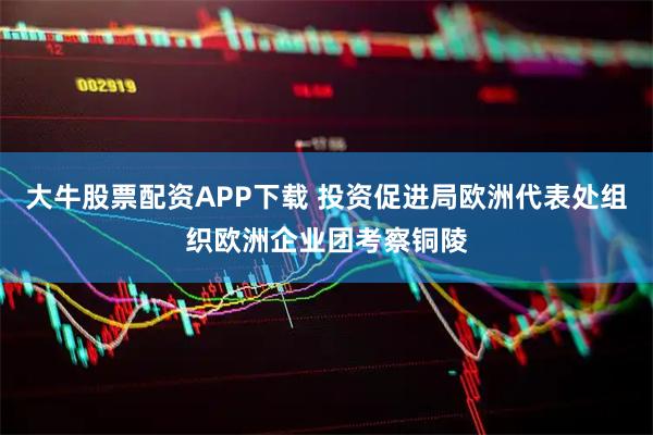 大牛股票配资APP下载 投资促进局欧洲代表处组织欧洲企业团考察铜陵