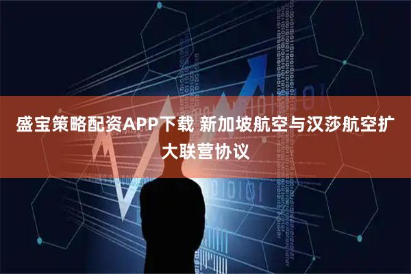 盛宝策略配资APP下载 新加坡航空与汉莎航空扩大联营协议