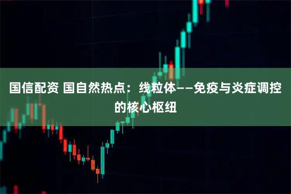 国信配资 国自然热点：线粒体——免疫与炎症调控的核心枢纽