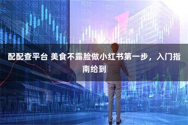 配配查平台 美食不露脸做小红书第一步，入门指南给到